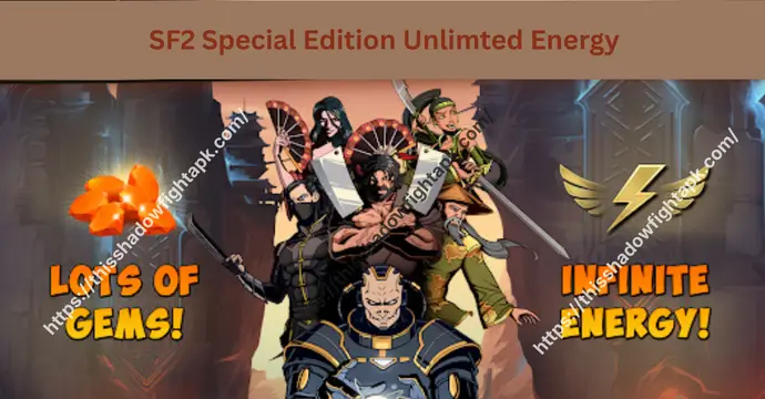 SF2 Special Edition 9 Unlimited energy feature in Shadow Fight 2 Special Edition MOD