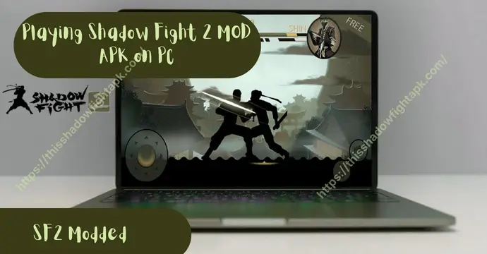 SF2 FOR PC/WINDOWS/MacOS 3 Playing Shadow Fight 2 MOD APK on PC through Android emulators