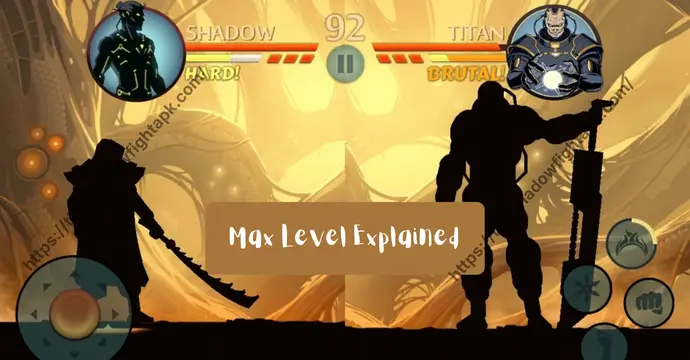 shadow fight 2 max level  complete explanation