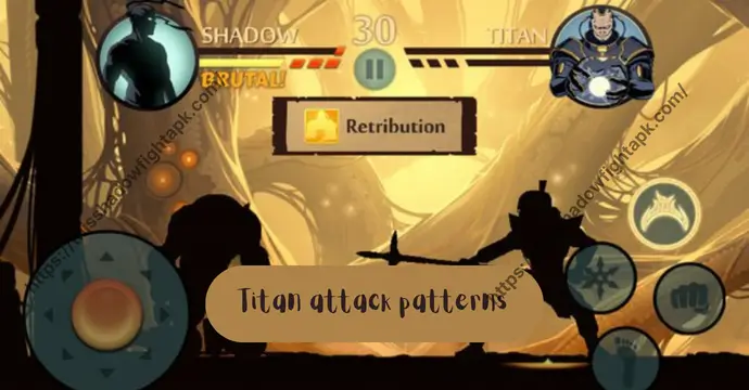Titan attack patterns in Shadow Fight 2 including long-range and close combat moves