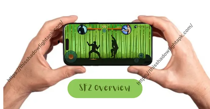 SF2 FOR IOS 2 Shadow Fight 2 MOD APK for iOS app overview on iPhone screen